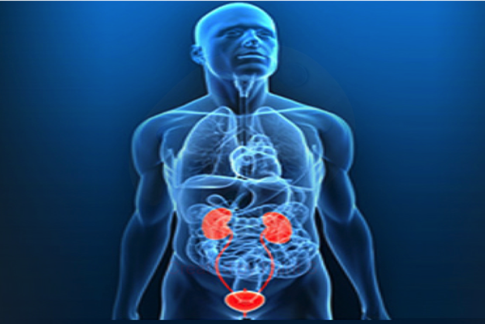 Gastroenterology