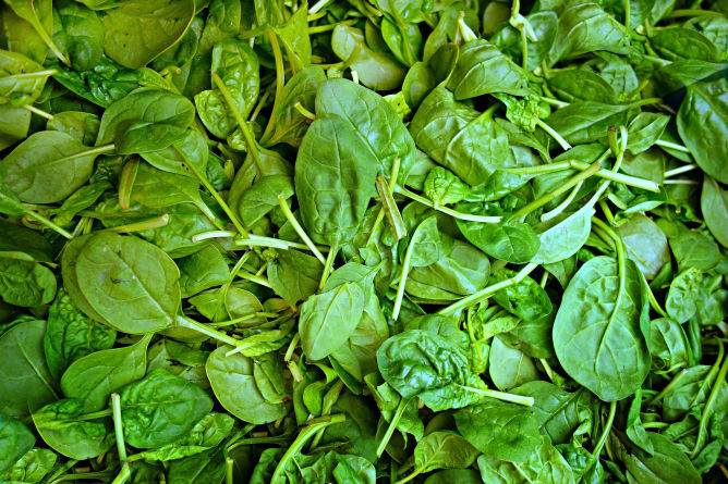 diet and nutrition